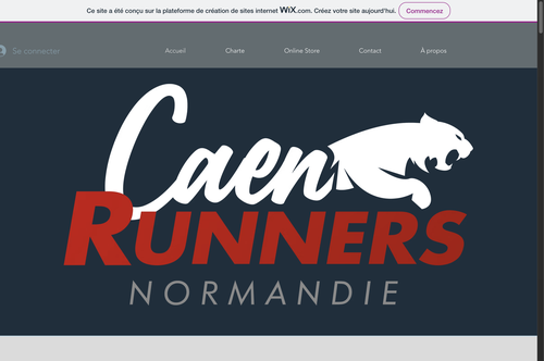 Les 10 km des Caen Runners